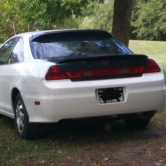 Meet your Posher, Steven - Picture 1 of 1